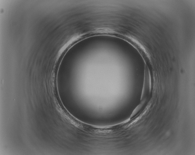 X0000083621325200702201306