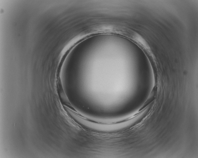 X0000083621336200702201306