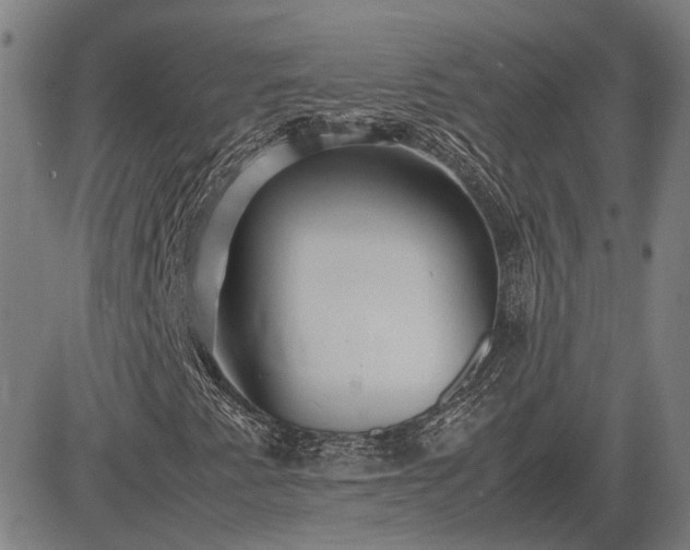 X0000083621345200702201305