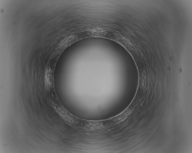 X0000083621346200702201305
