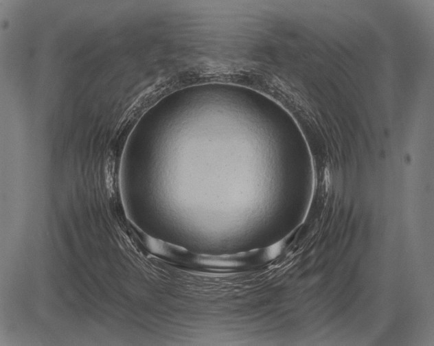 X0000083621348200702201305