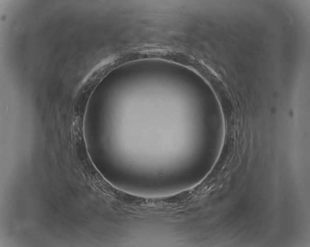 X0000083621351200702201305