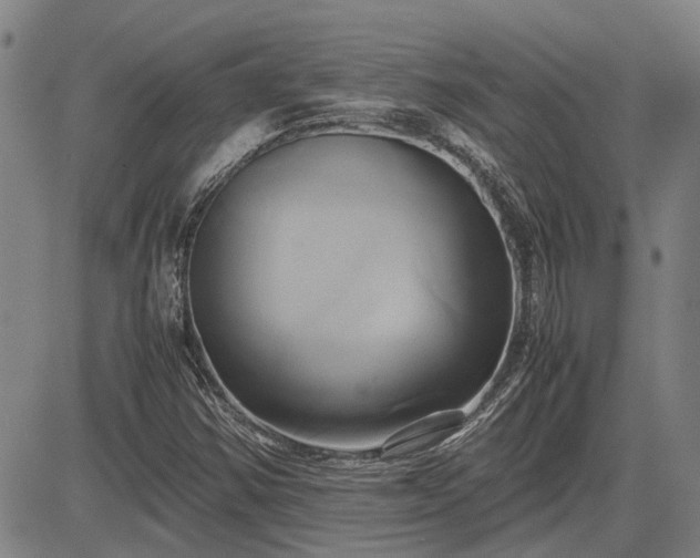 X0000083621354200702201305