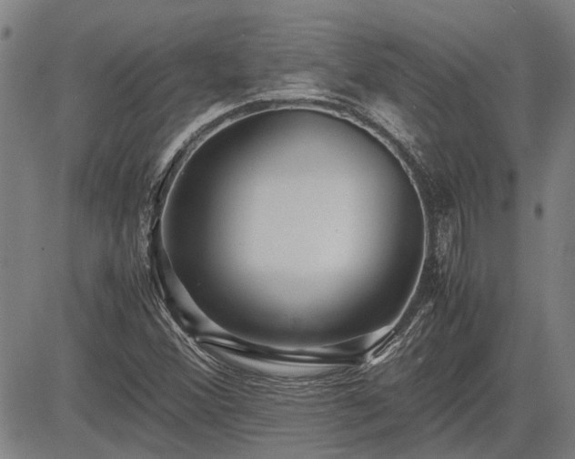 X0000083621356200702201305