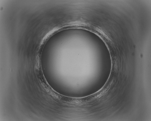 X0000083621358200702201305