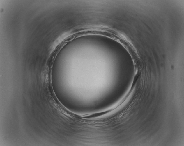 X0000083621360200702201305