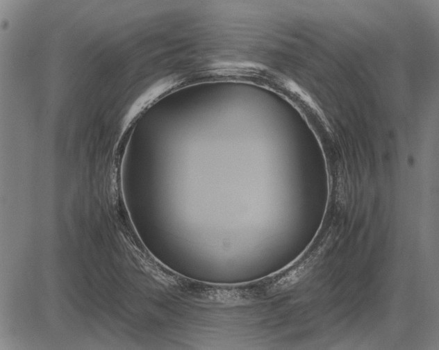 X0000083621362200702201305
