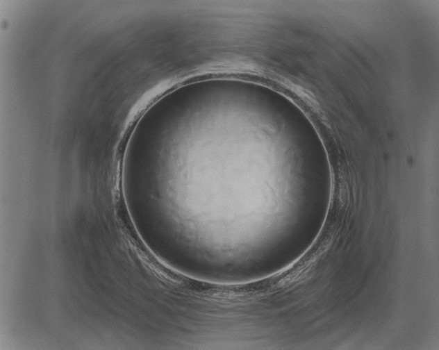 X0000083621366200702201305