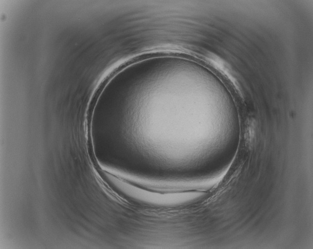 X0000083621372200702201305