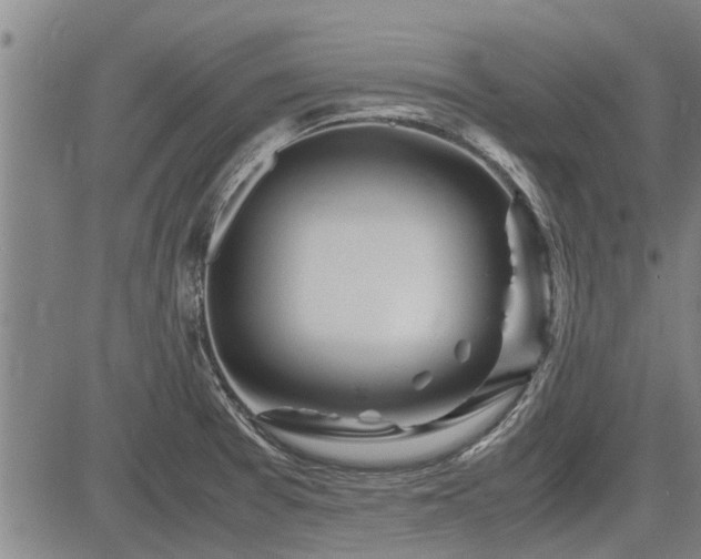 X0000083621377200702201305