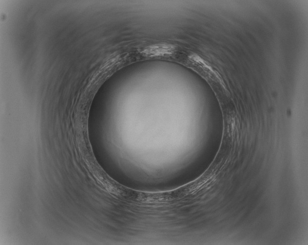 X0000083621393200702201304