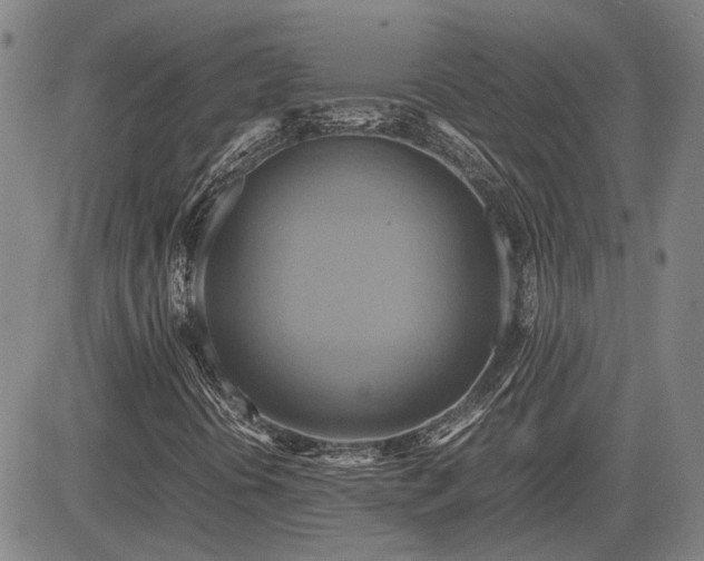 X0000083621394200702201304