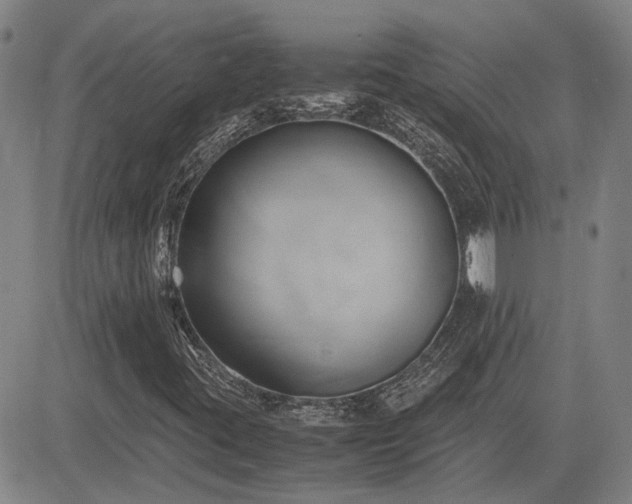 X0000083621395200702201304