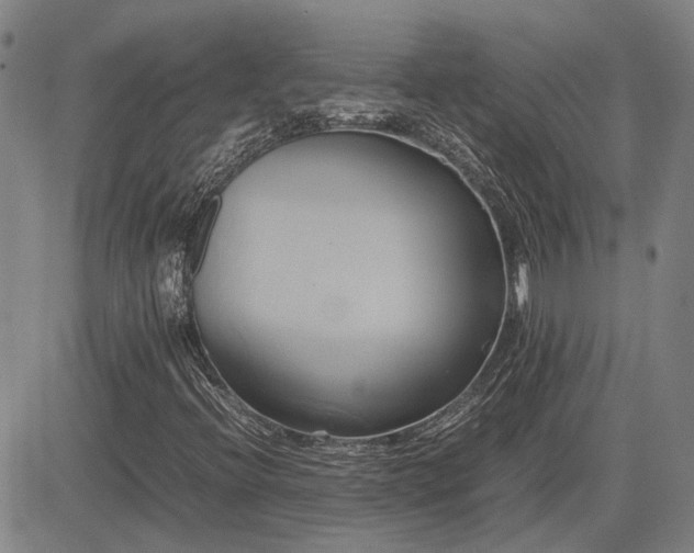 X0000083621396200702201304