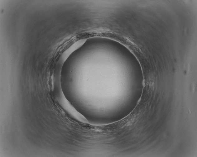 X0000083621398200702201304