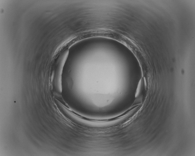 X0000083621402200702201304