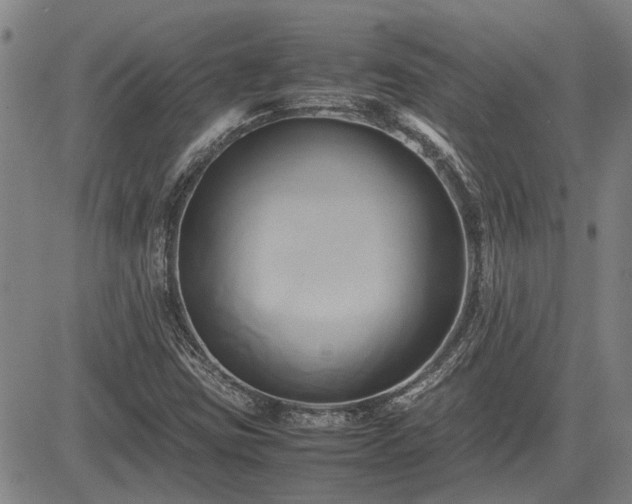 X0000083621403200702201304