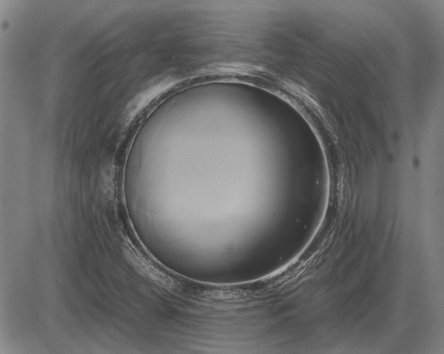 X0000083621404200702201304