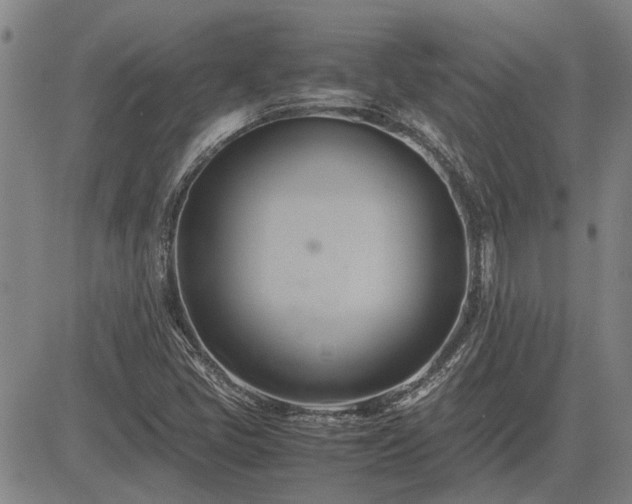 X0000083621405200702201304