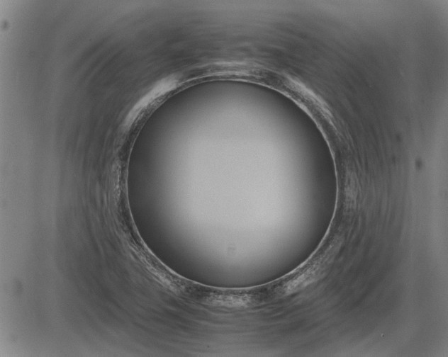 X0000083621411200702201304