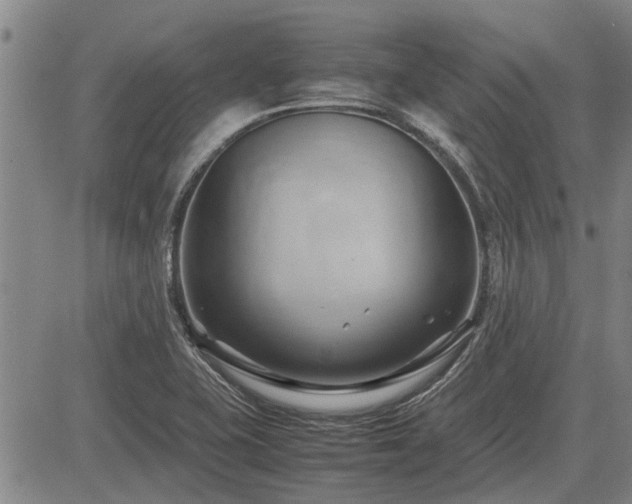 X0000083621415200702201304