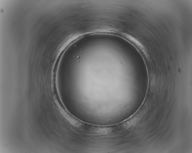 X0000083621423200702201304