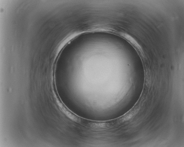 X0000083621431200702201304