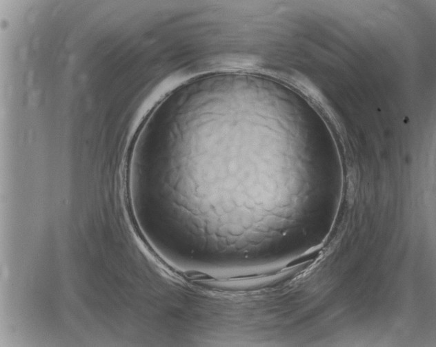 X0000083621432200702201304