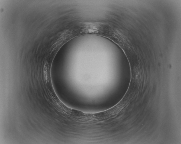 X0000083621442200702201304