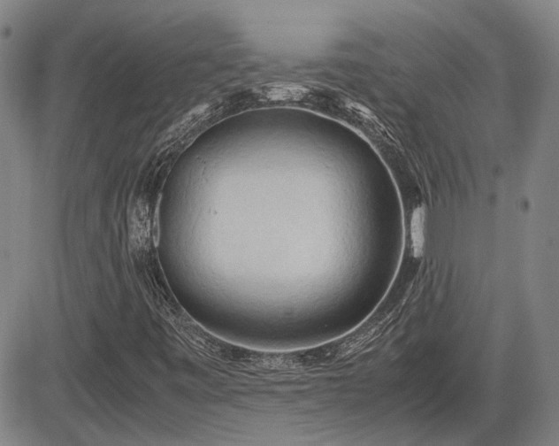 X0000083621443200702201303