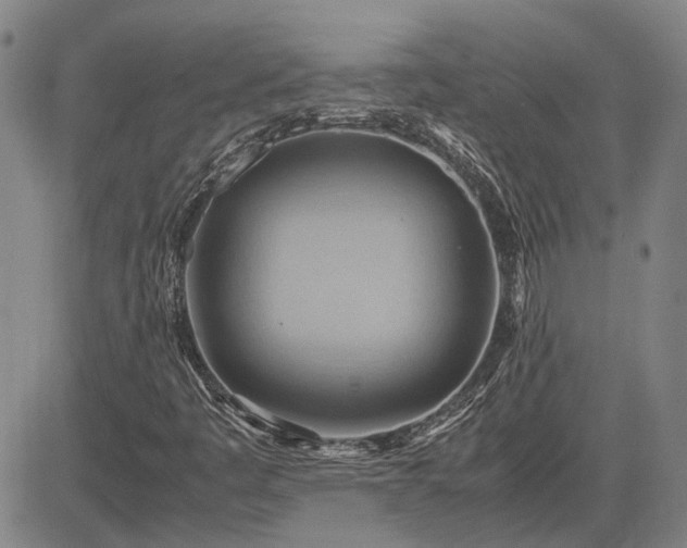 X0000083621445200702201303