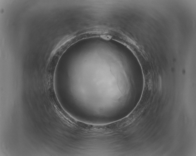 X0000083621448200702201303