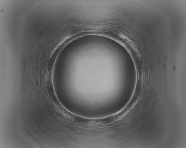 X0000083621449200702201303