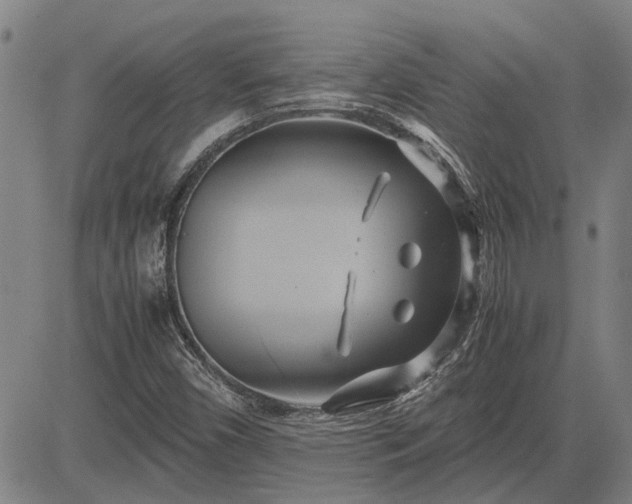 X0000083621450200702201303