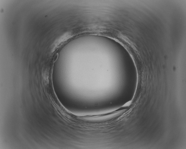 X0000083621451200702201303
