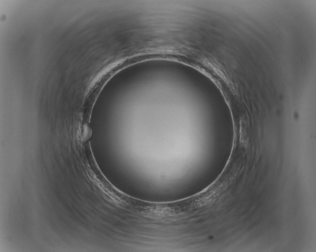 X0000083621452200702201303