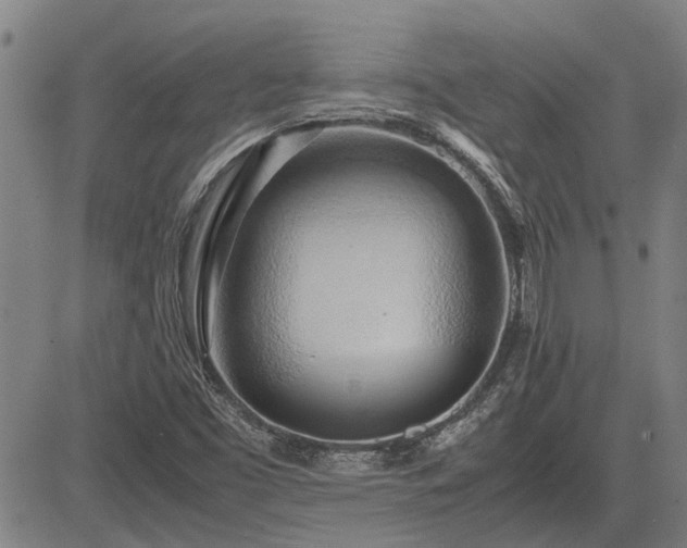 X0000083621453200702201303