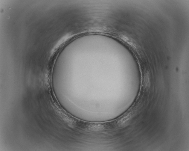 X0000083621454200702201303