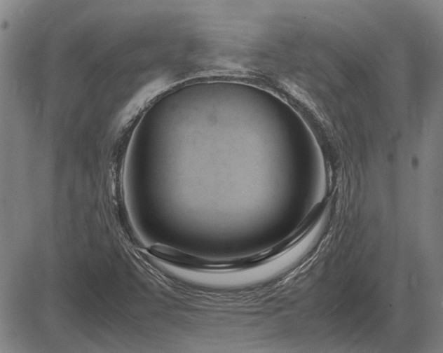 X0000083621455200702201303
