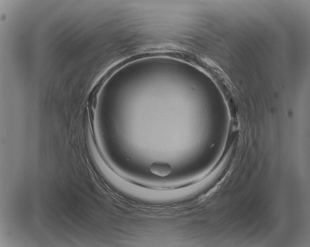 X0000083621457200702201303