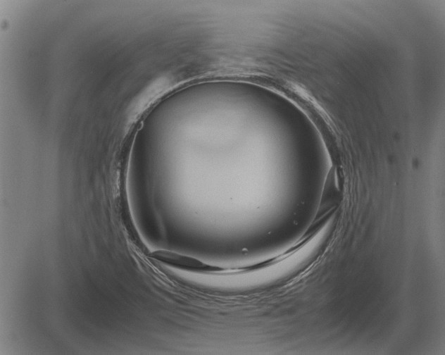 X0000083621459200702201303