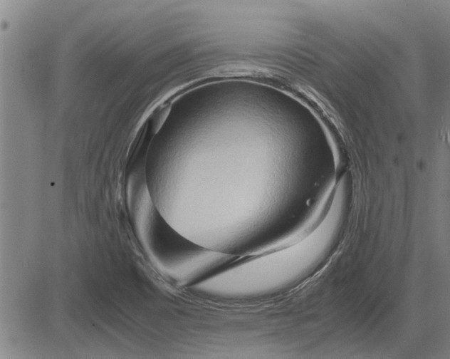 X0000083621465200702201303