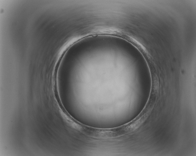 X0000083621471200702201303