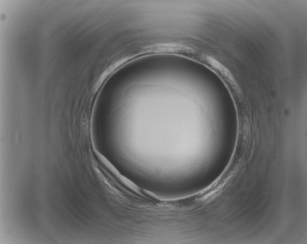 X0000083621473200702201303