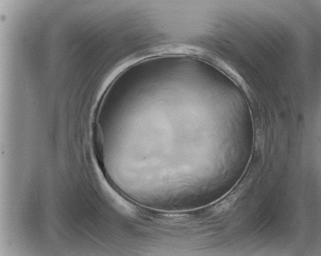 X0000083621483200702201303