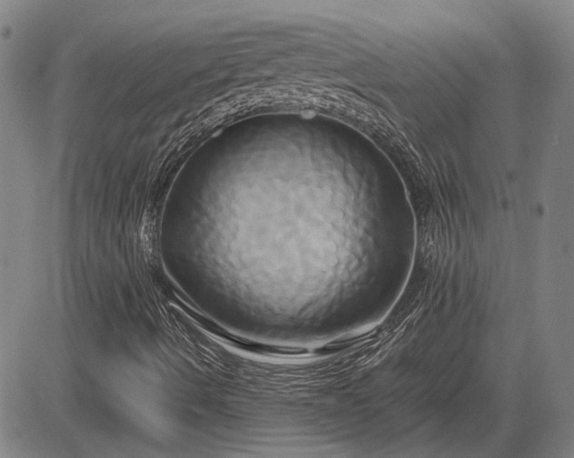 X0000083621490200702201302