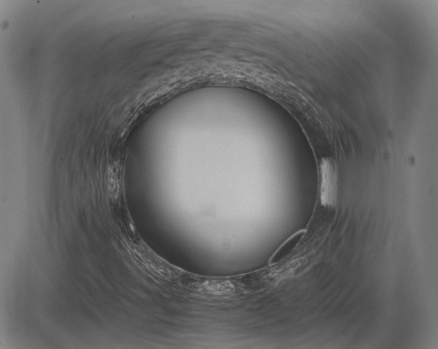X0000083621491200702201302