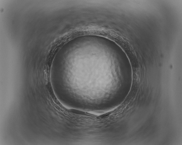 X0000083621493200702201302