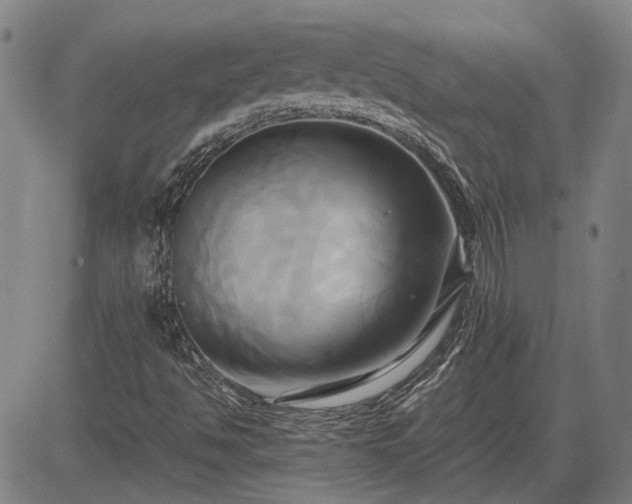 X0000083621494200702201302
