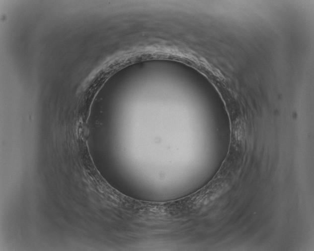 X0000083621495200702201302